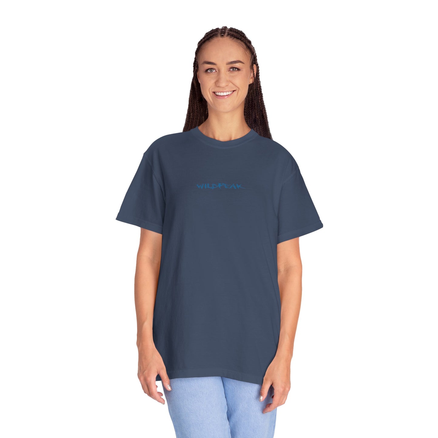 Glacier National Park Tee Coordinates