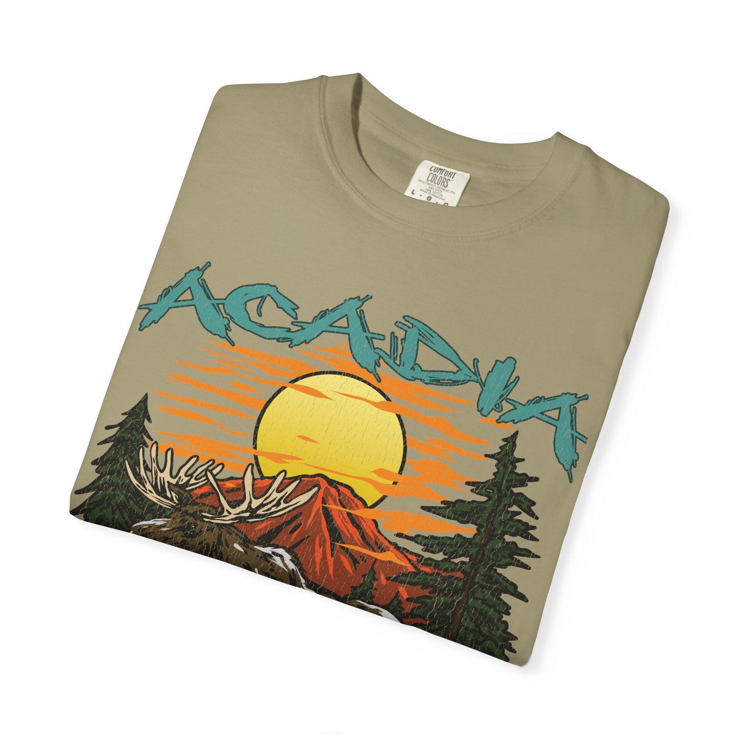 Acadia National Park T-Shirt