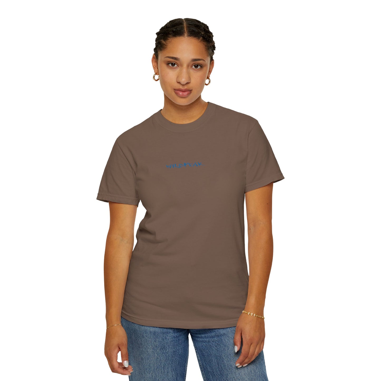 Glacier National Park Tee Coordinates