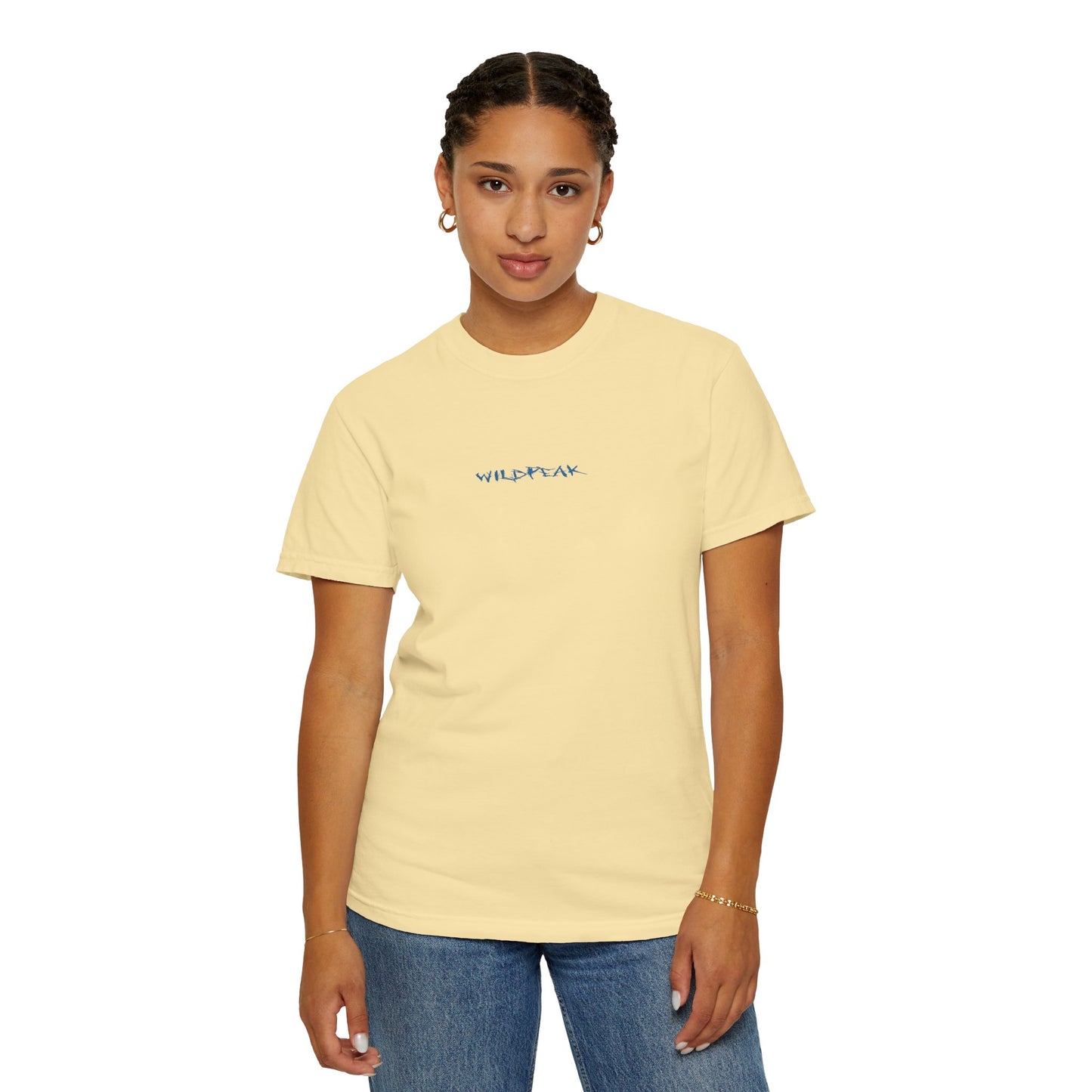 Glacier National Park Tee Coordinates