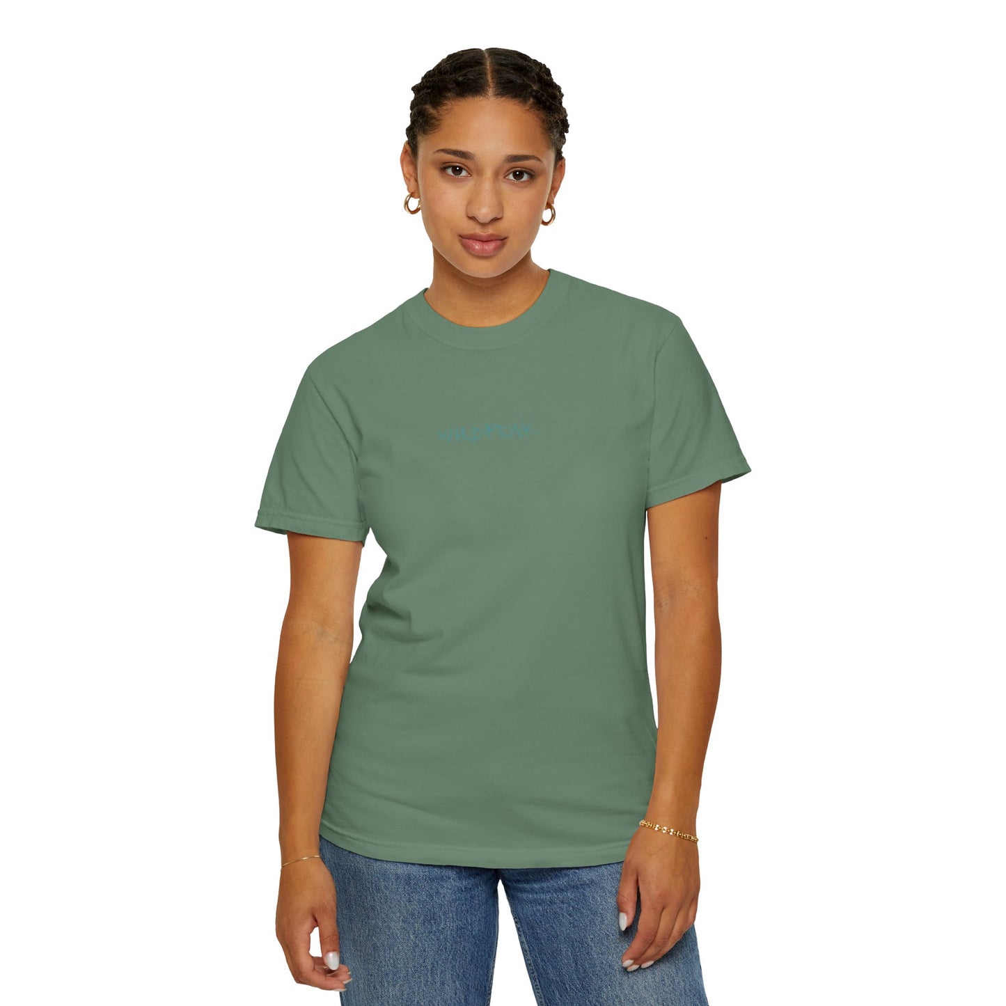 Acadia National Park Coordinates T-Shirt