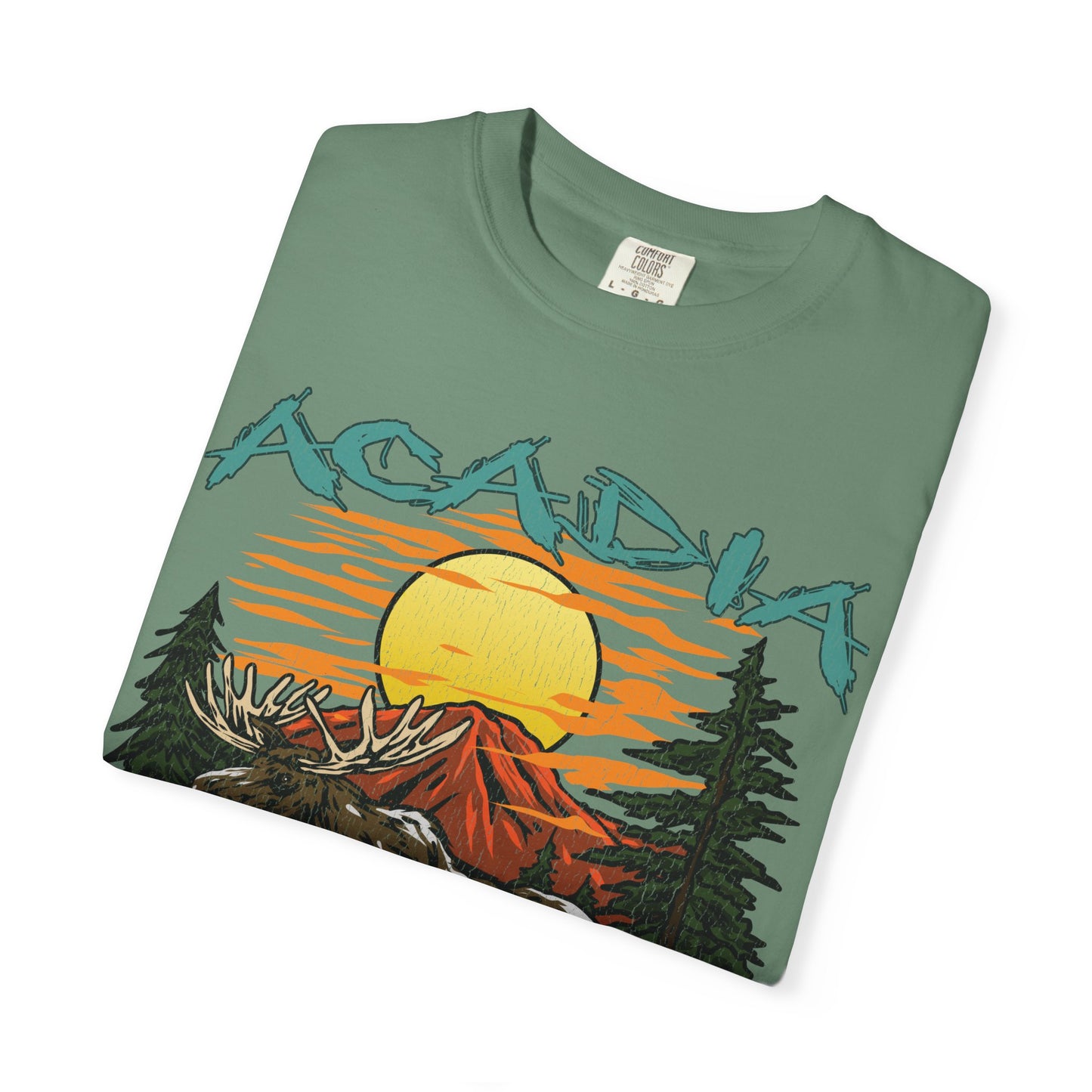 Acadia National Park T-Shirt