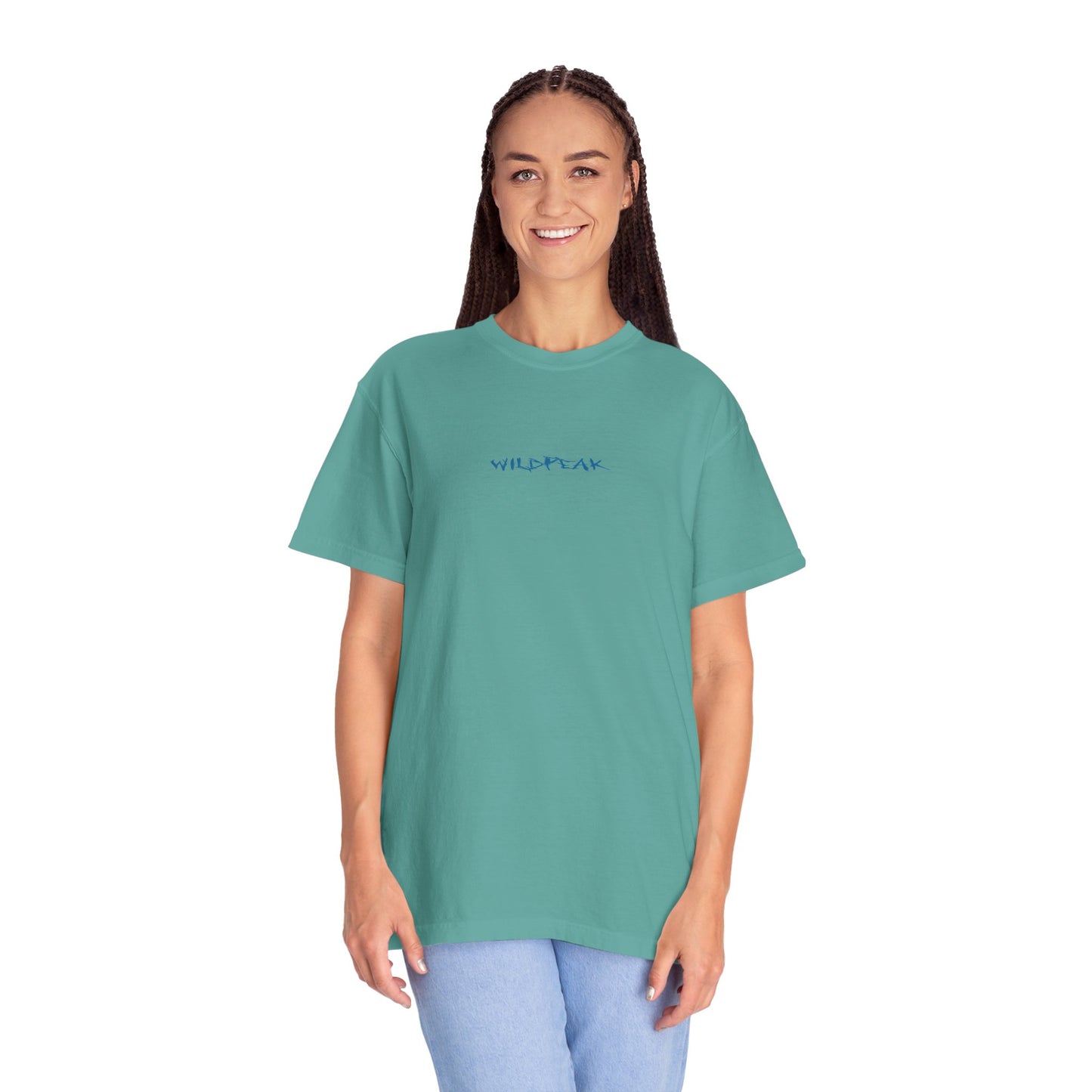 Glacier National Park Tee Coordinates