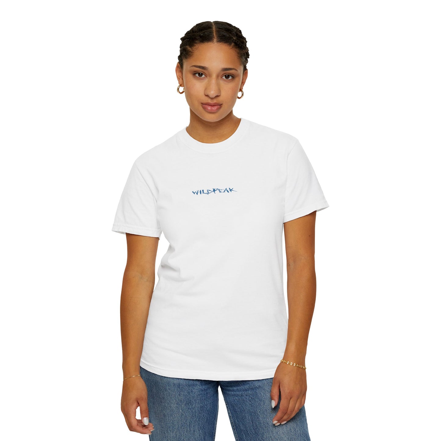 Glacier National Park Tee Coordinates
