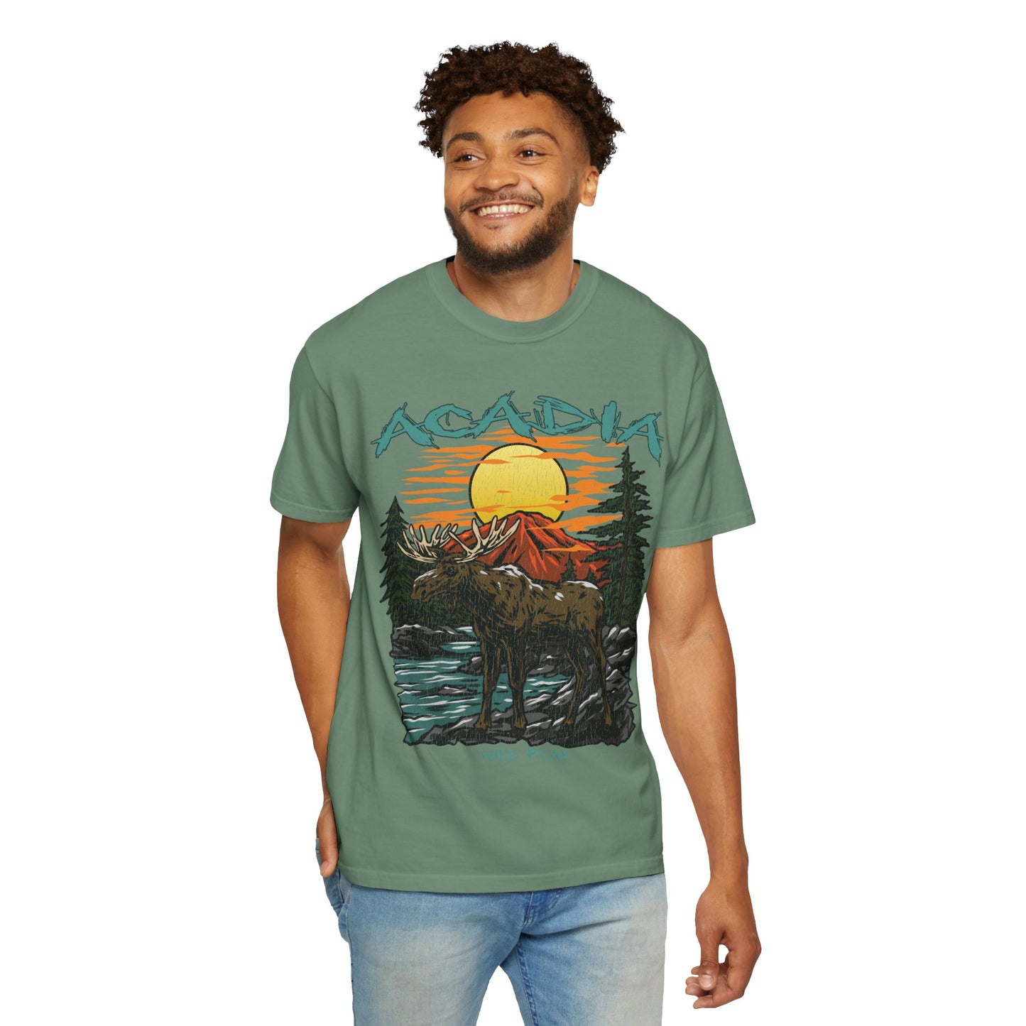Acadia National Park T-Shirt