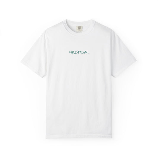 Acadia National Park Coordinates T-Shirt
