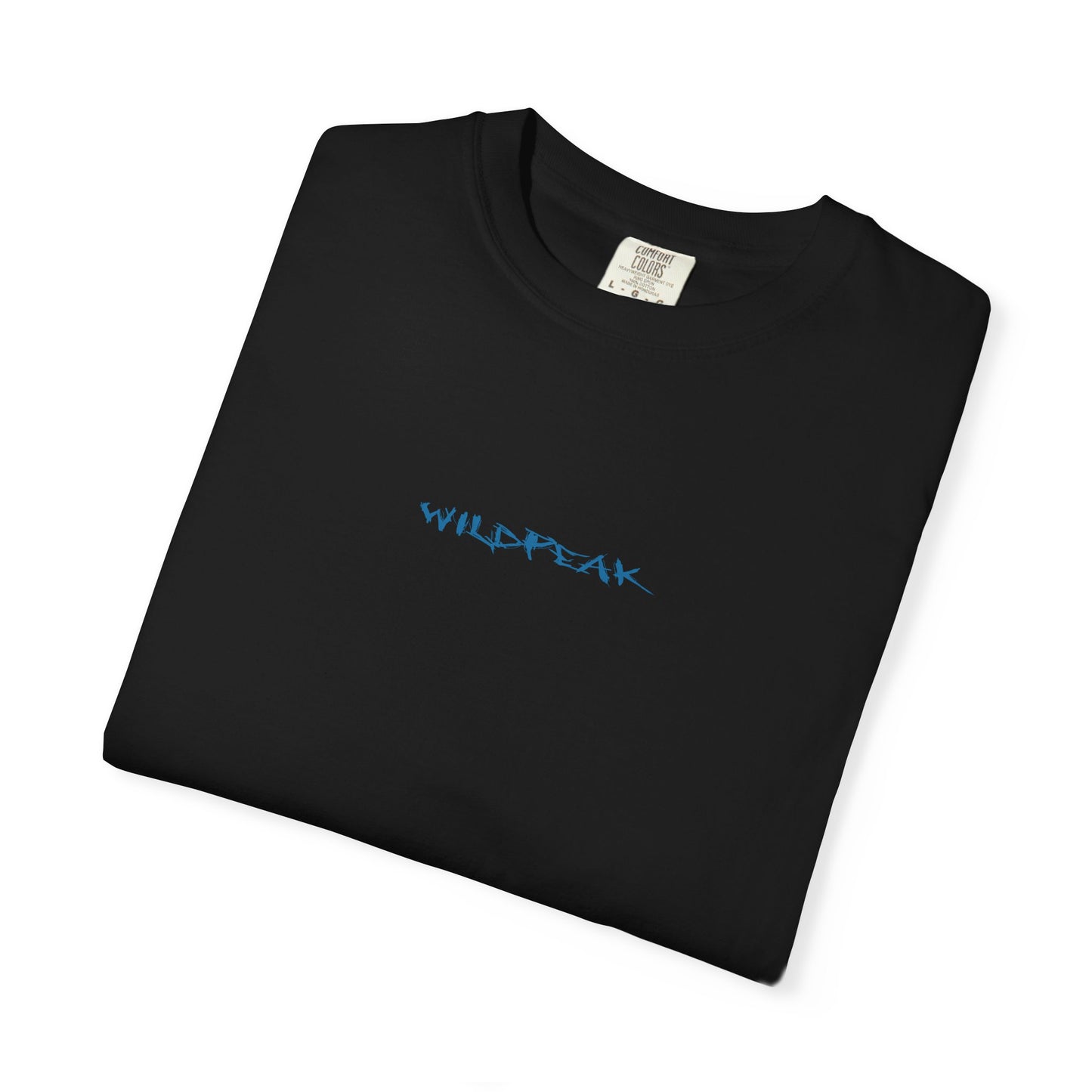 Glacier National Park Tee Coordinates