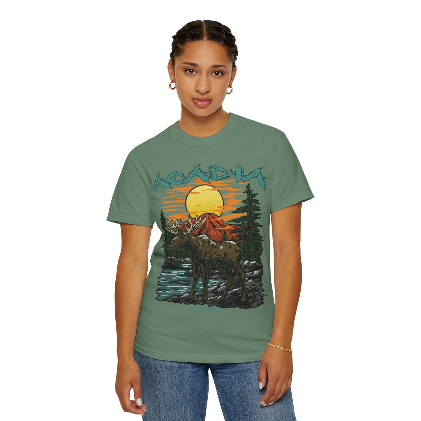 Acadia National Park T-Shirt