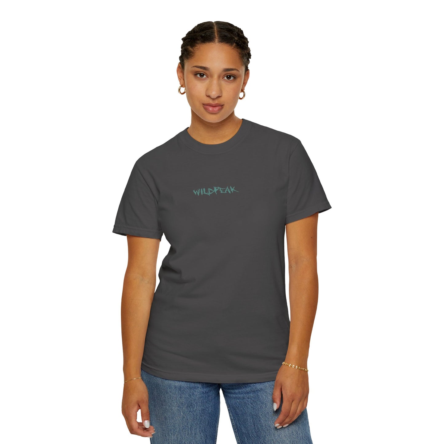 Acadia National Park Coordinates T-Shirt