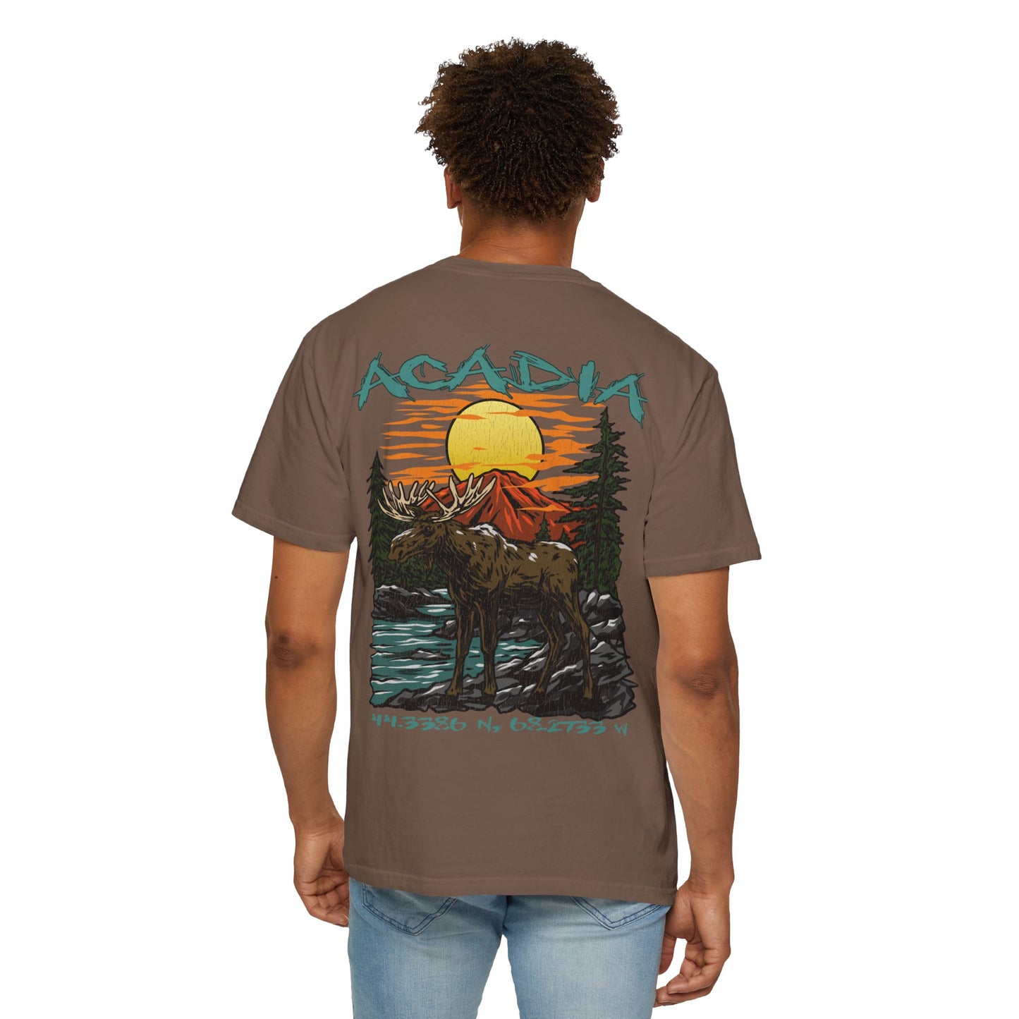 Acadia National Park Coordinates T-Shirt