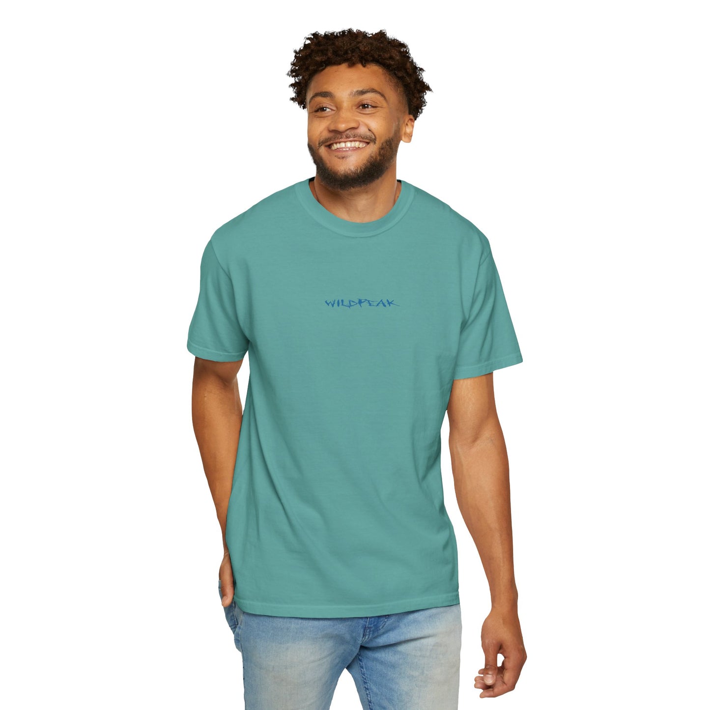 Glacier National Park Tee Coordinates