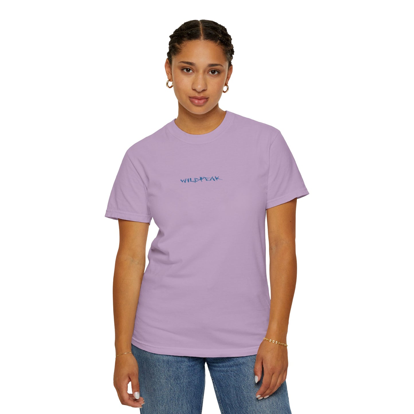 Glacier National Park Tee Coordinates
