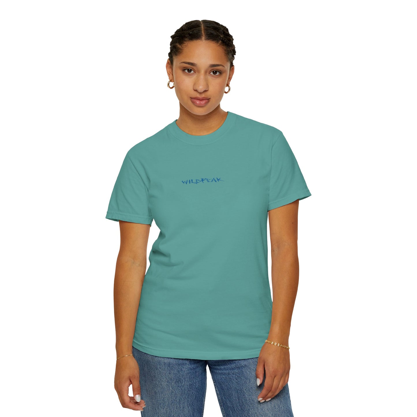 Glacier National Park Tee Coordinates