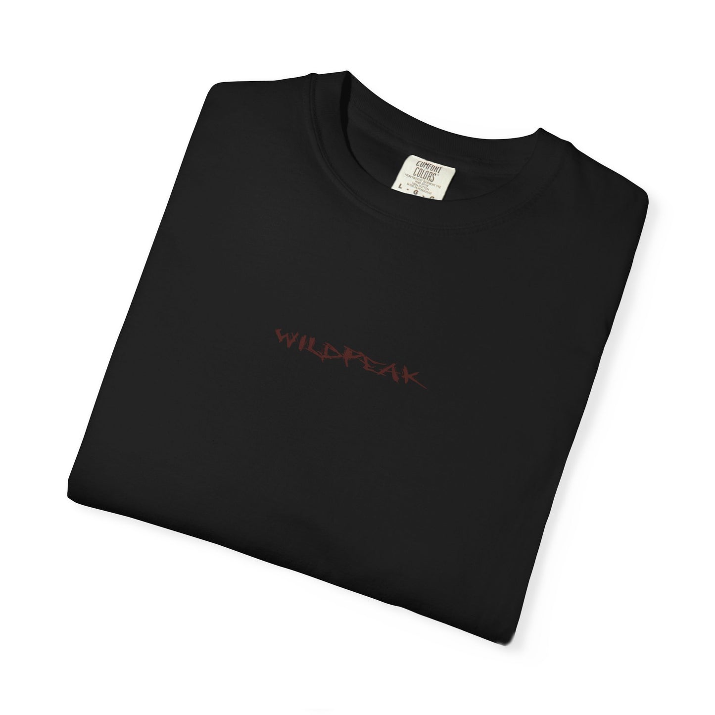 Zion National Park Coordinates T-Shirt