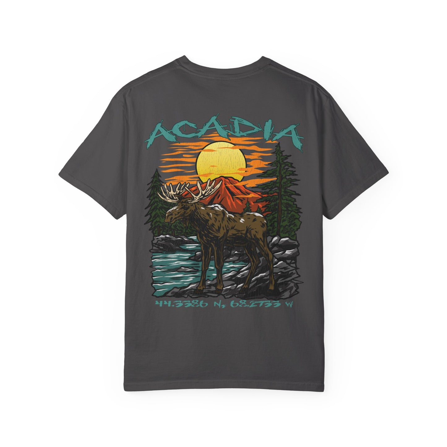 Acadia National Park Coordinates T-Shirt