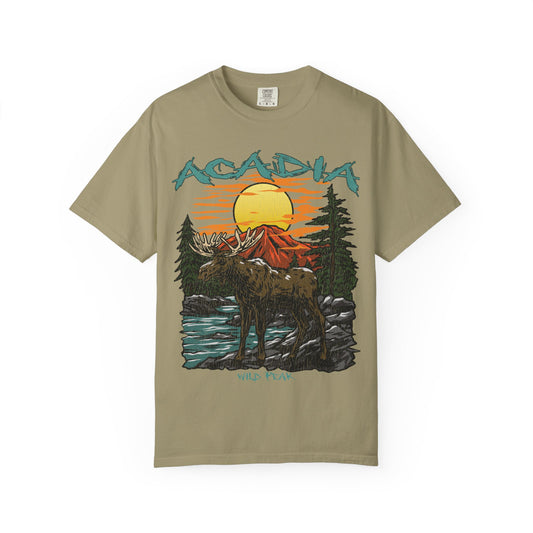 Acadia National Park T-Shirt