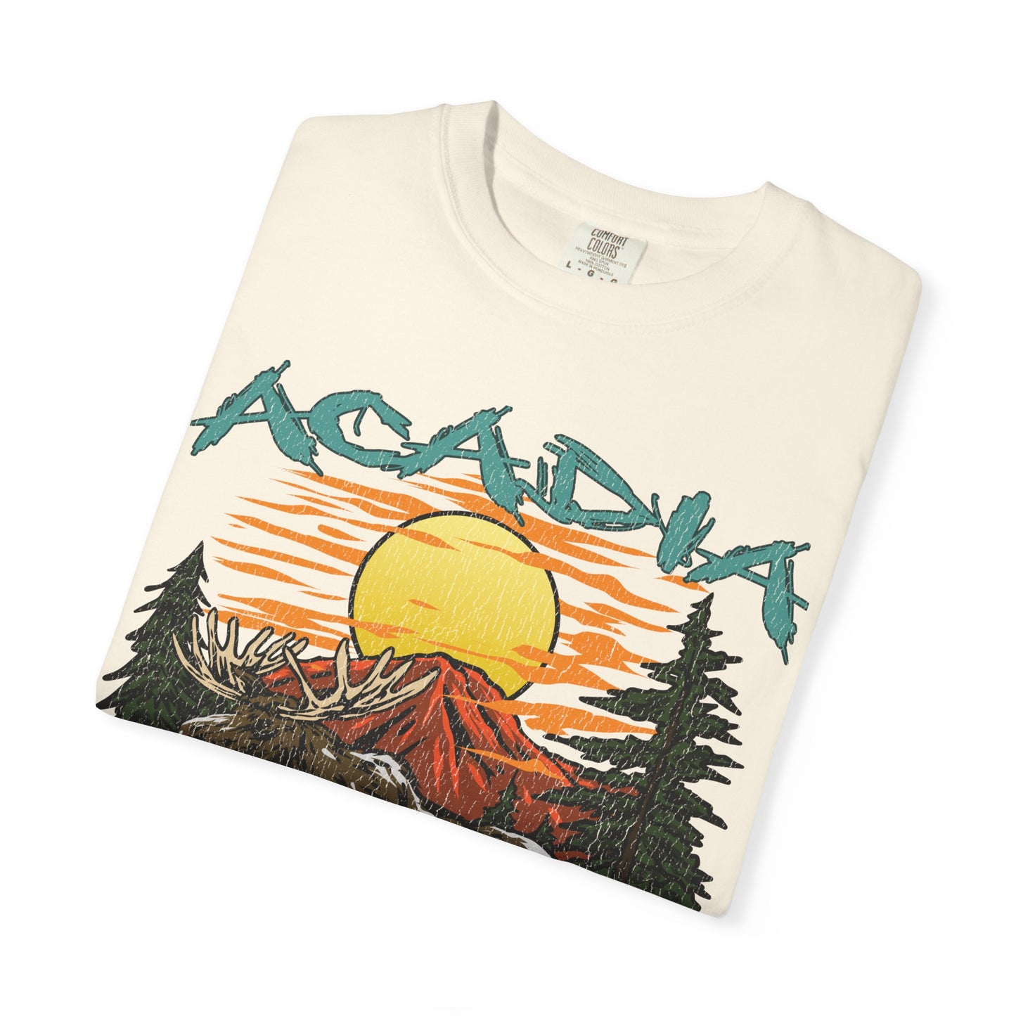 Acadia National Park T-Shirt