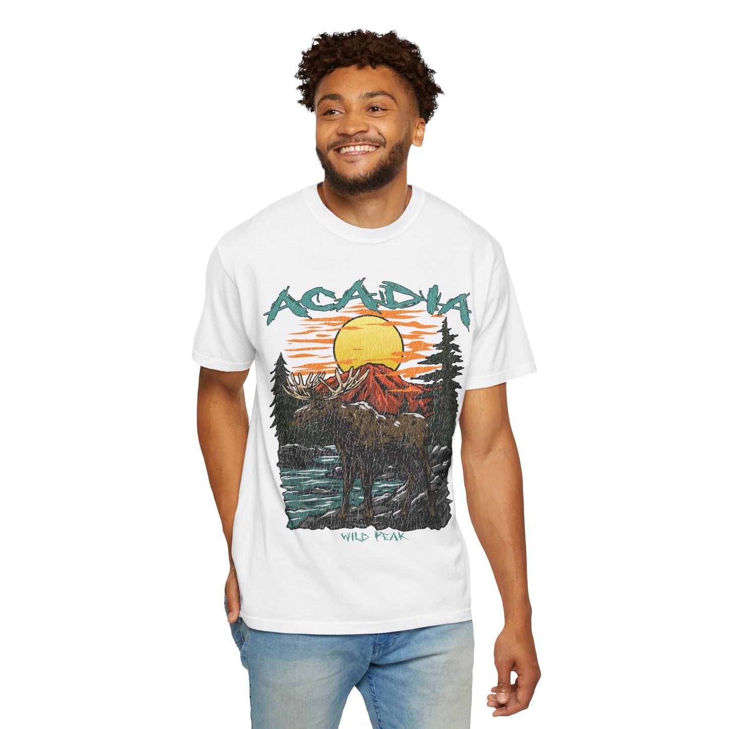 Acadia National Park T-Shirt