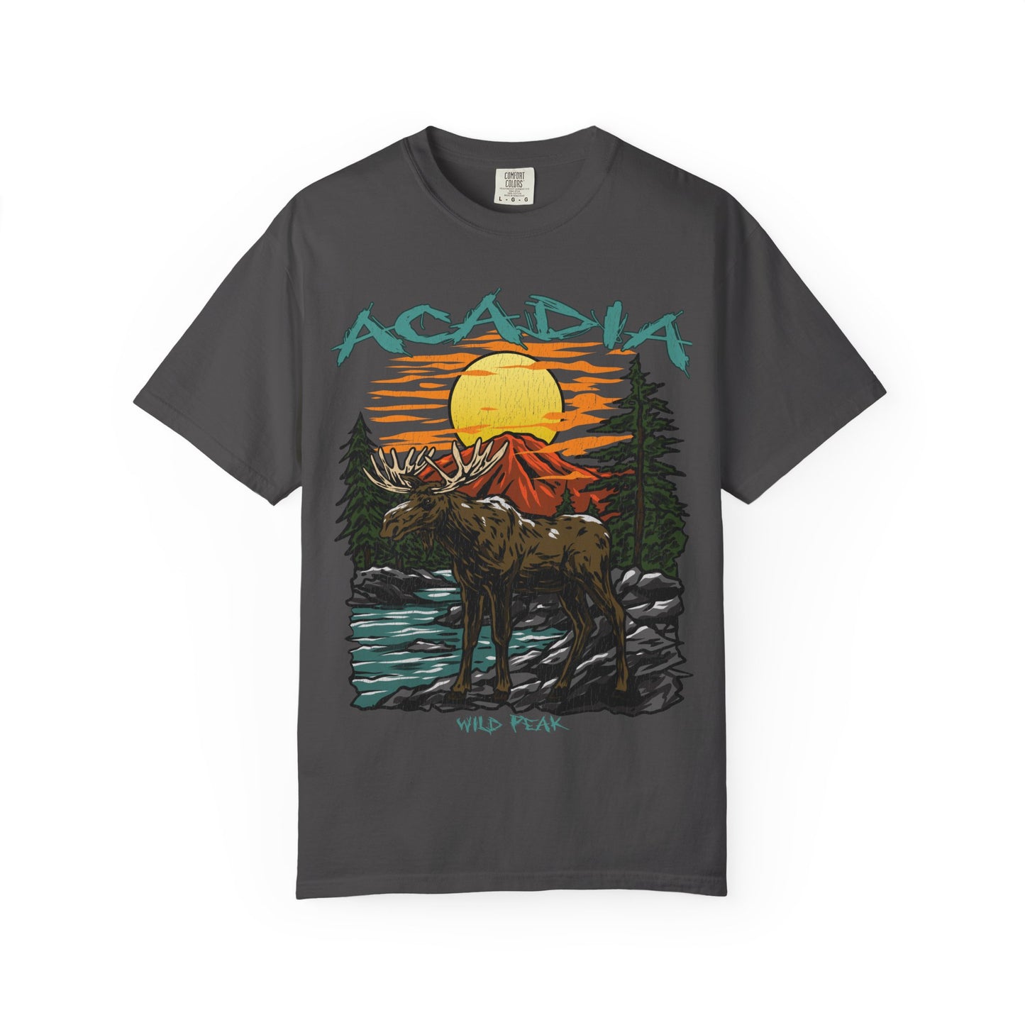 Acadia National Park T-Shirt