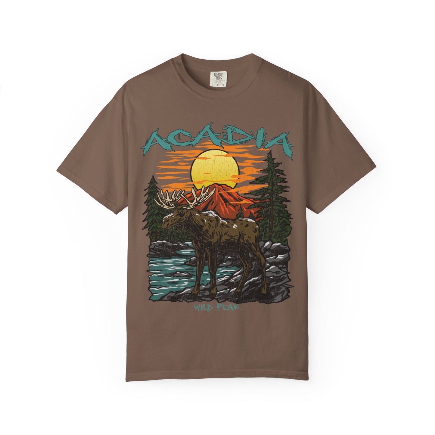 Acadia National Park T-Shirt