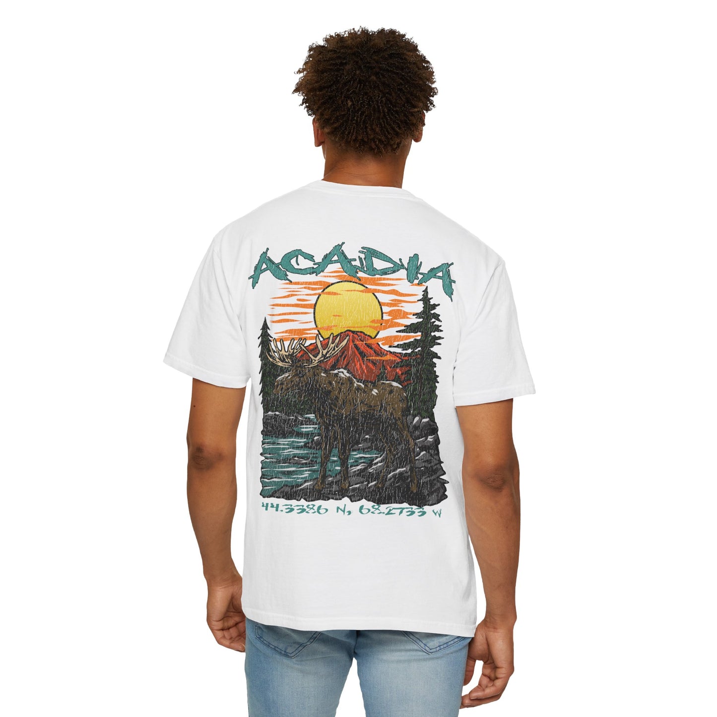 Acadia National Park Coordinates T-Shirt