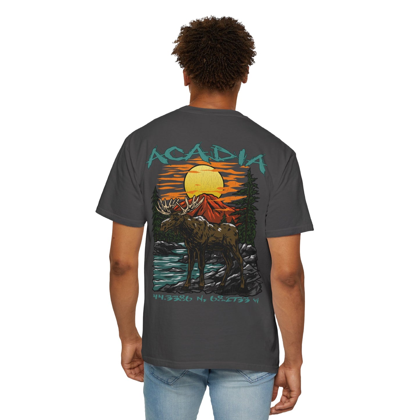 Acadia National Park Coordinates T-Shirt