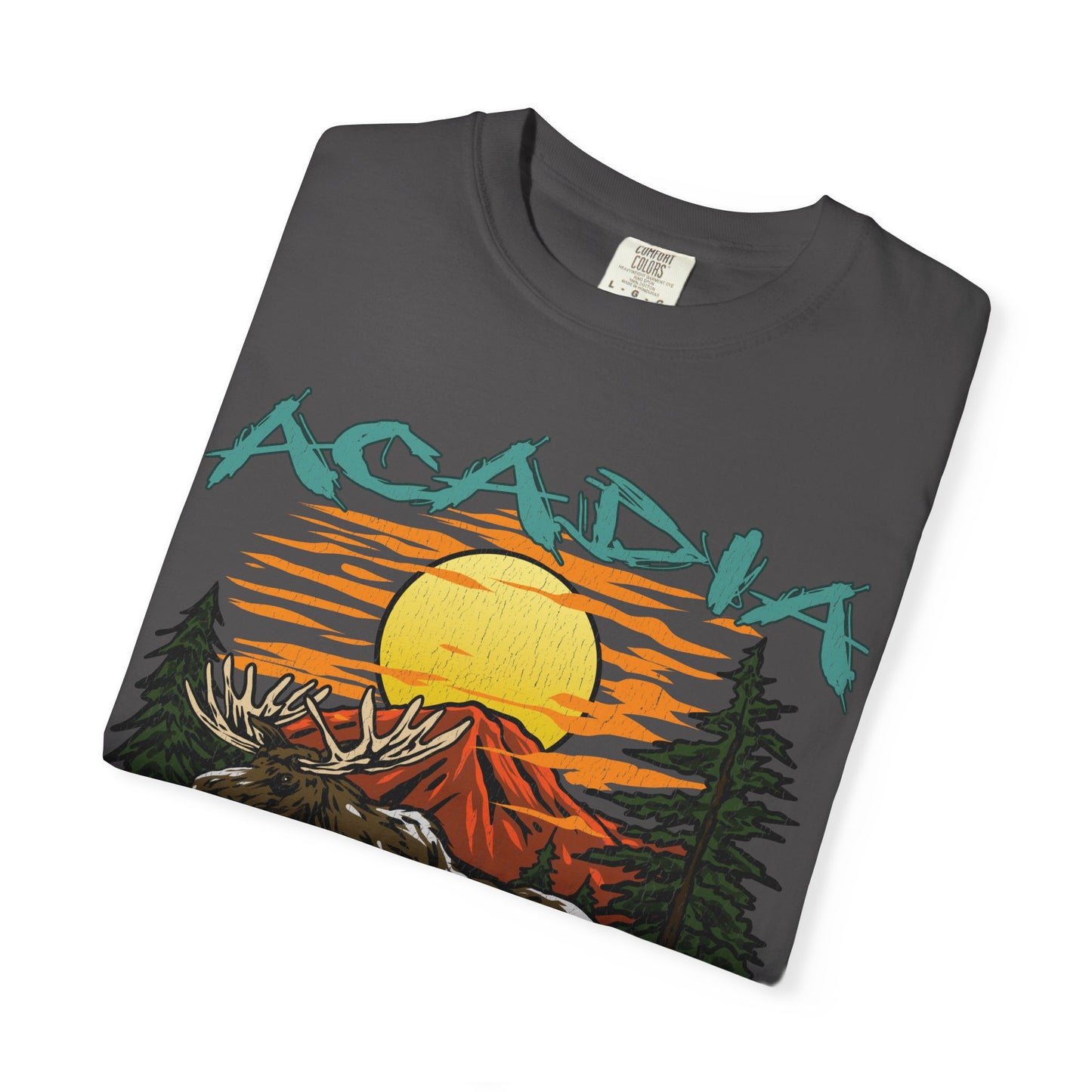 Acadia National Park T-Shirt
