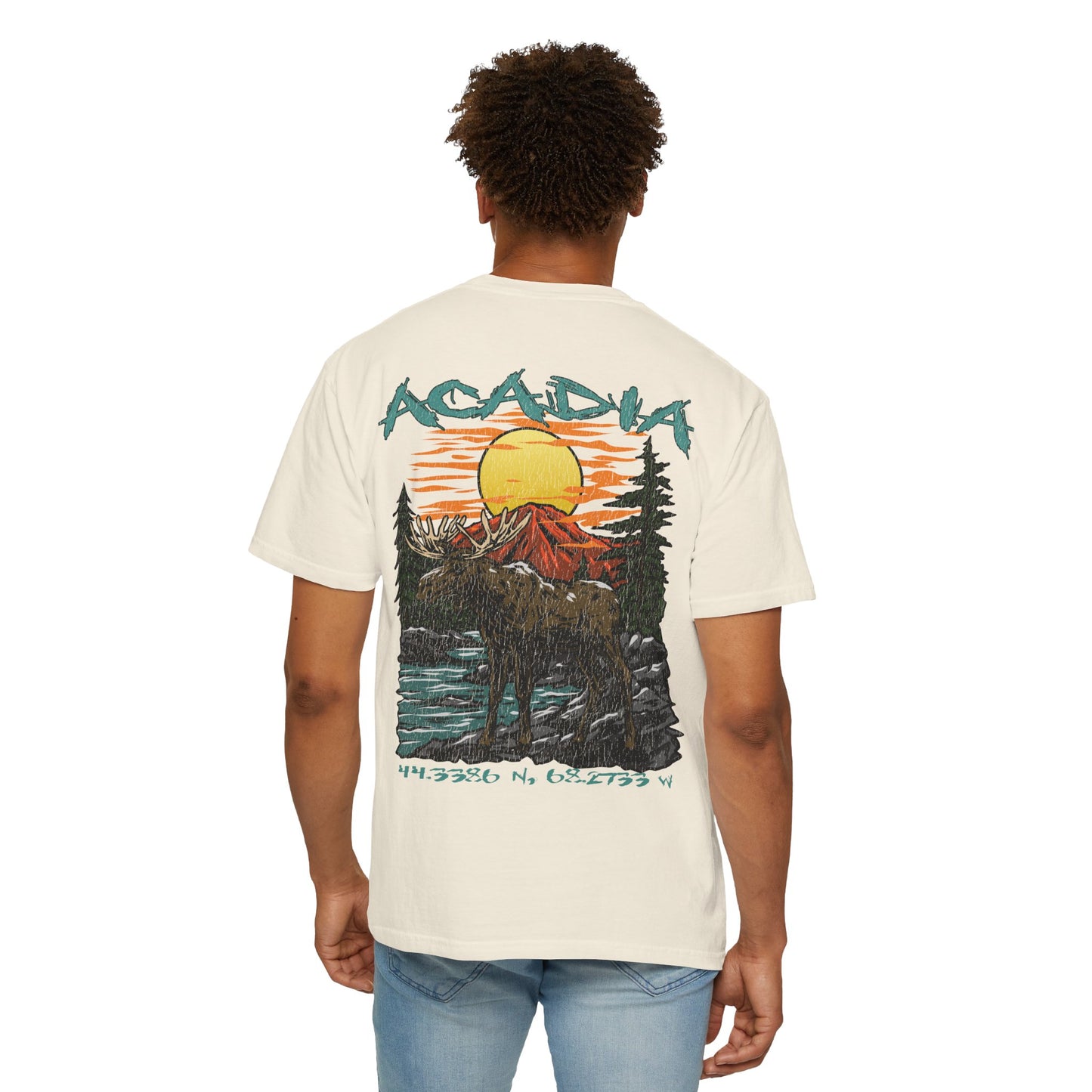 Acadia National Park Coordinates T-Shirt