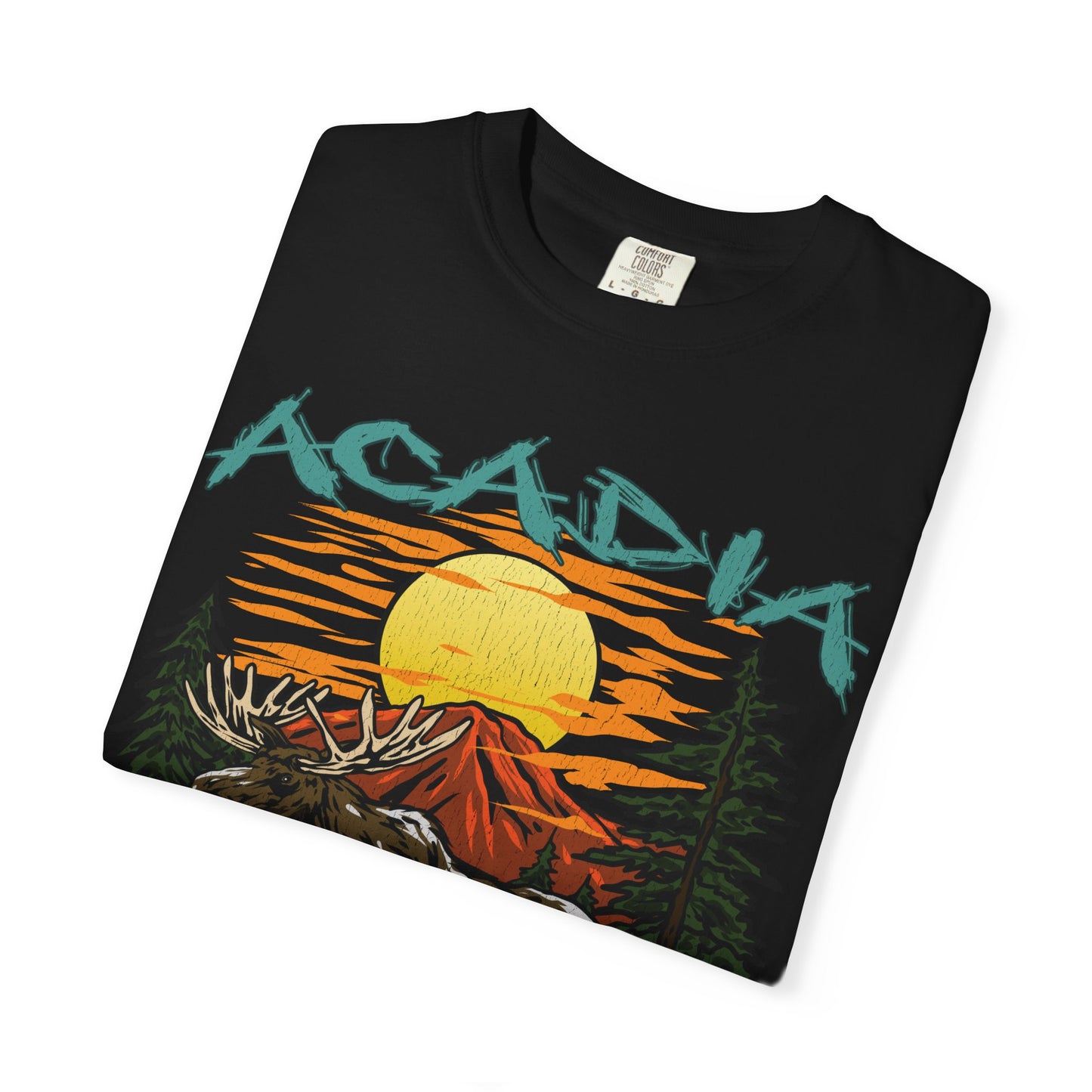 Acadia National Park T-Shirt
